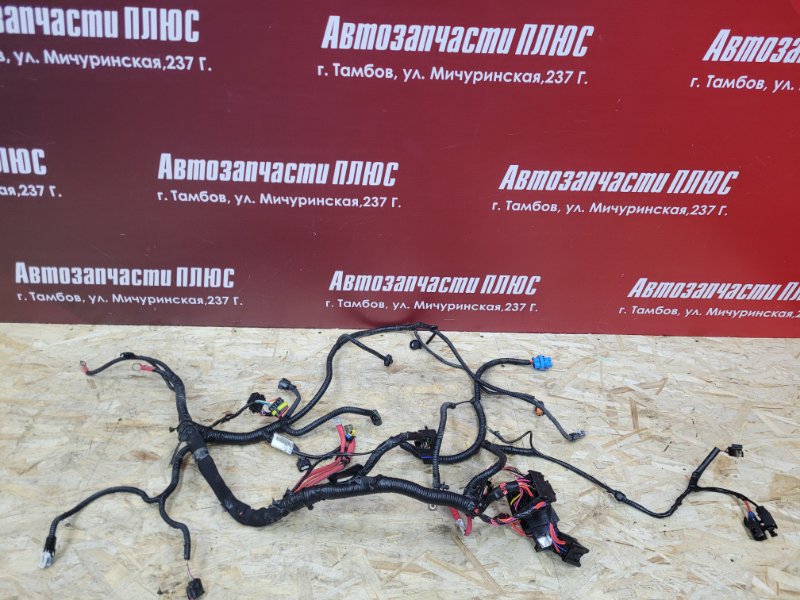 Проводка двигателя - фото 1