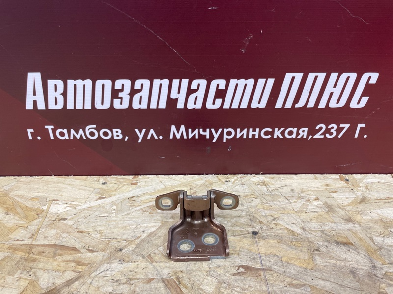 Петля двери - фото 1