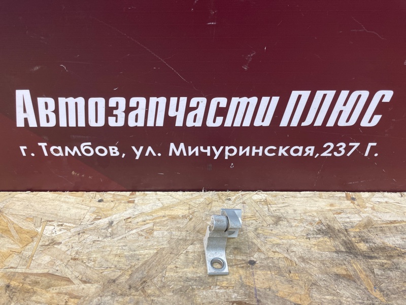 Петля двери - фото 1