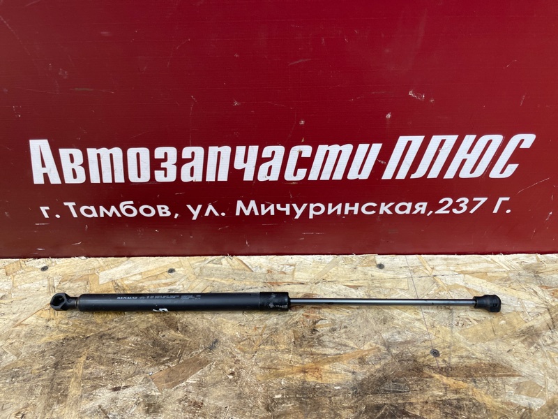Амортизатор багажника - фото 1