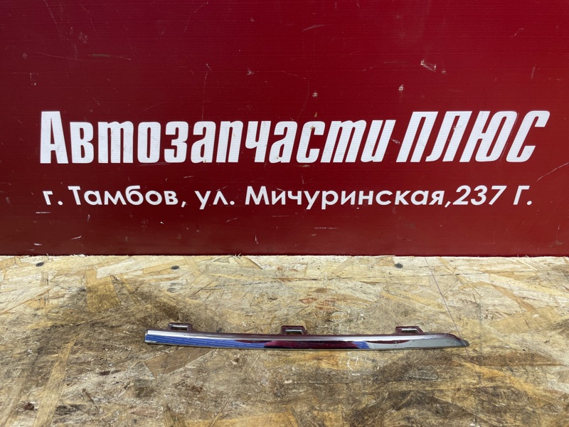 Молдинг решетки радиатора - фото 1