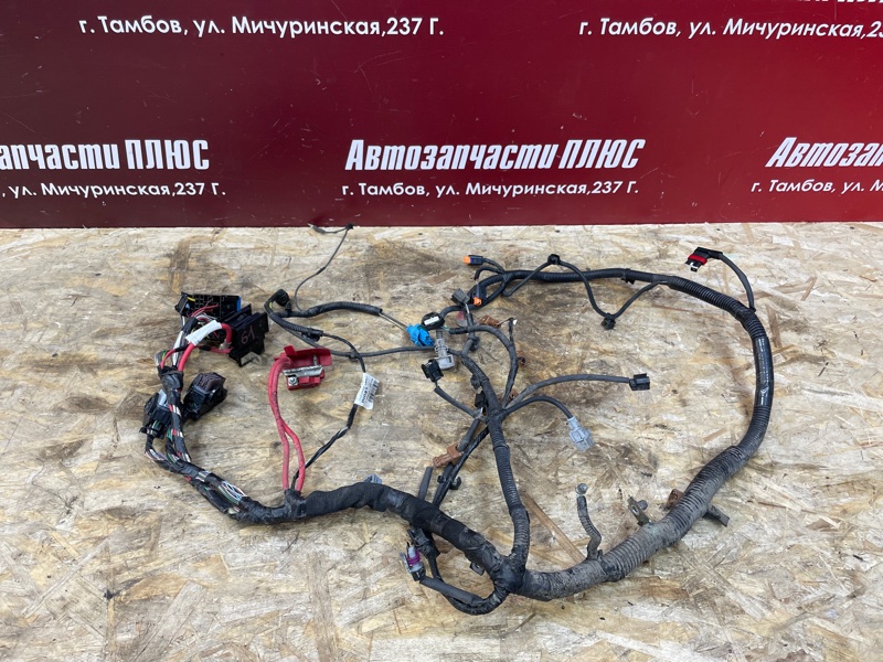 Проводка двигателя - фото 1