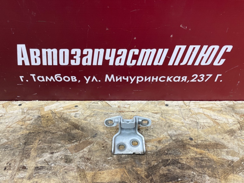 Петля двери - фото 1