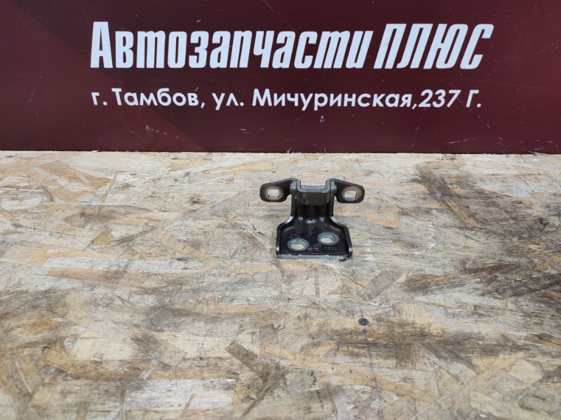 Петля     двери - фото 1