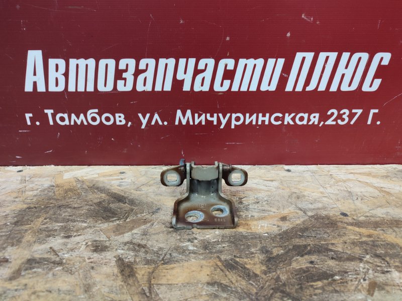 Петля двери - фото 1