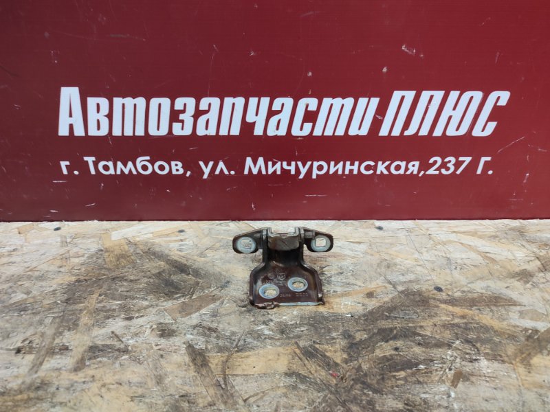 Петля двери - фото 1