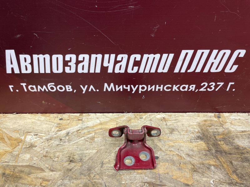 Петля двери - фото 1