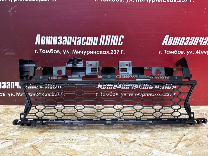 Решетка   бампера - фото 1