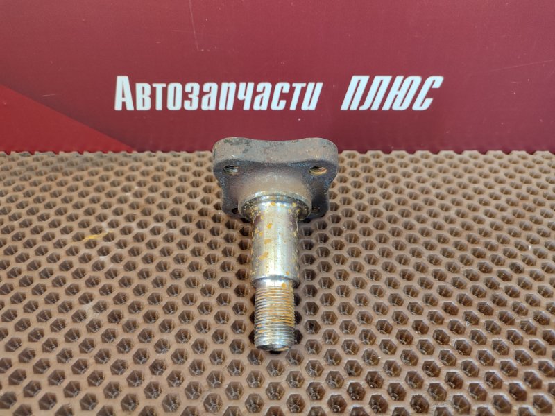 Цапфа - фото 1
