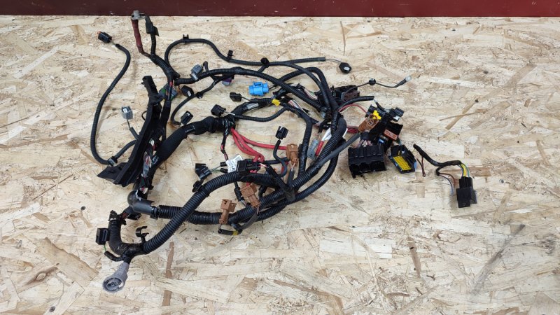 Проводка двигателя - фото 1