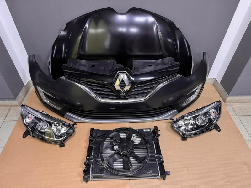 Ноускат - фото 2