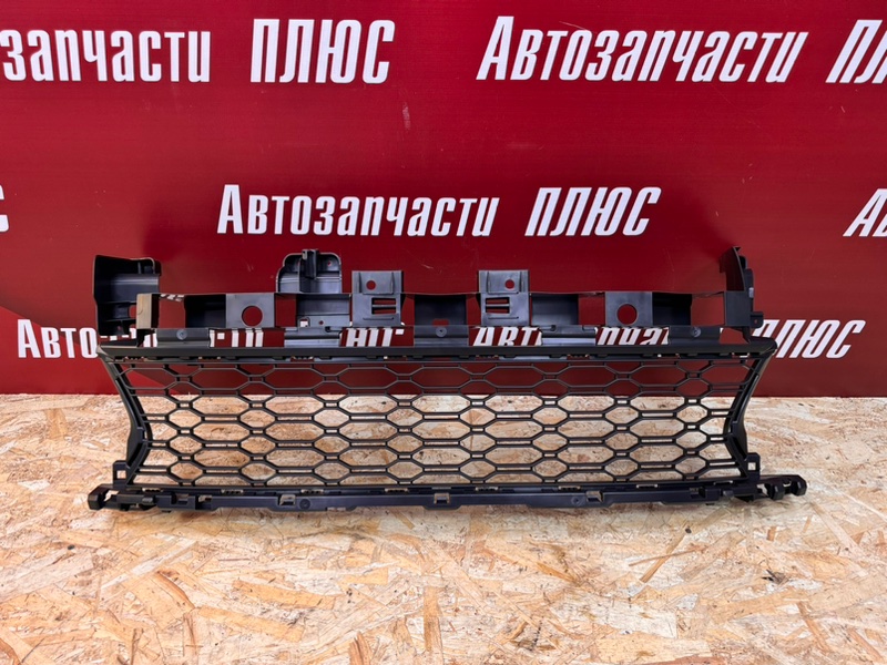 Решетка   бампера - фото 1