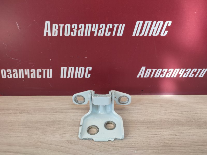 Петля двери - фото 1