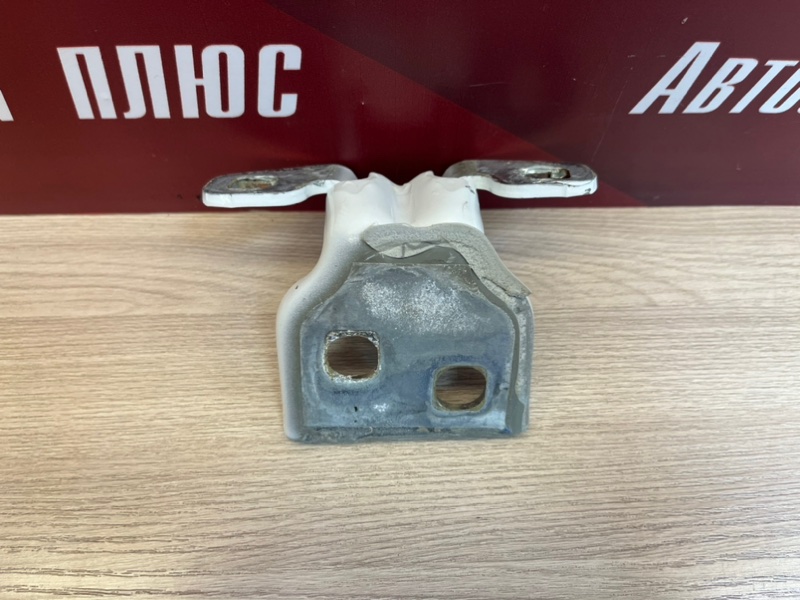 Петля     двери - фото 5