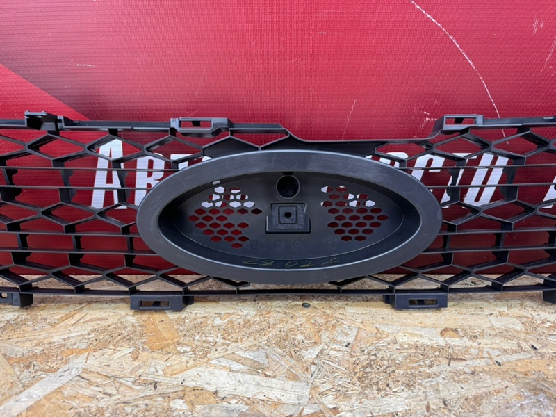 решетка бампера - фото 8