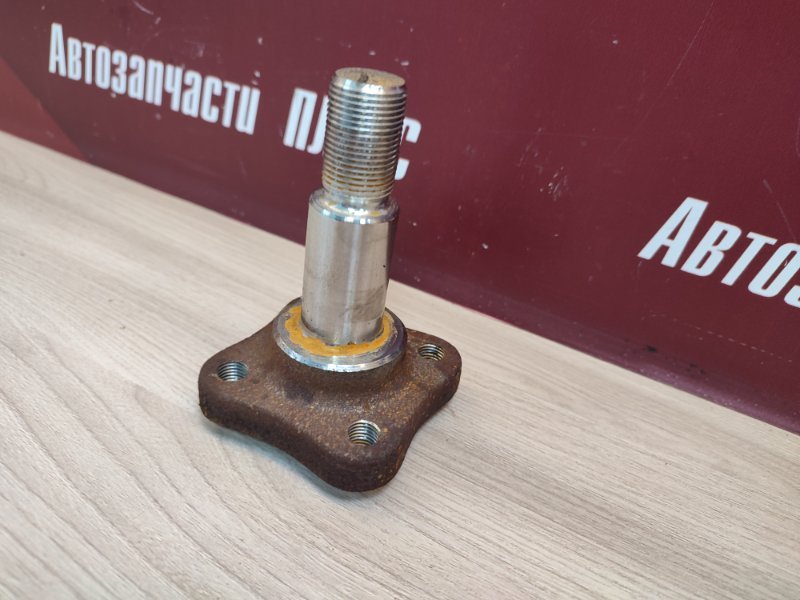 Цапфа - фото 4