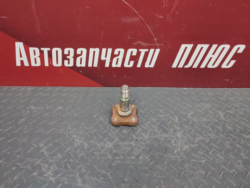 Цапфа - фото 1