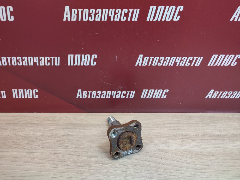 Цапфа - фото 1