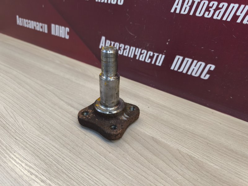 Цапфа - фото 3