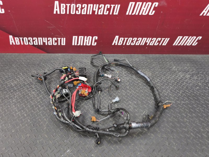 Проводка подкапотная - фото 1