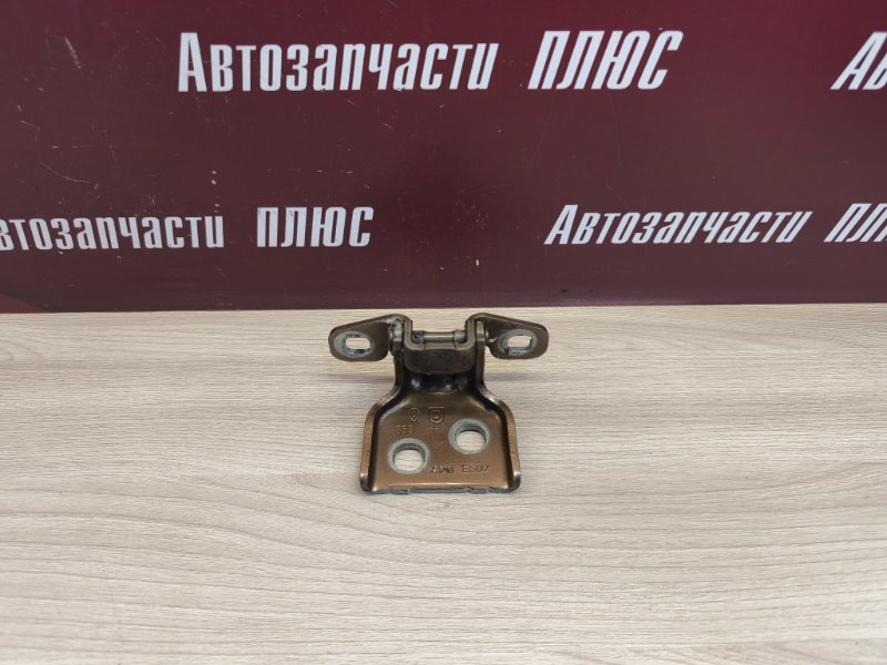 Петля двери - фото 1