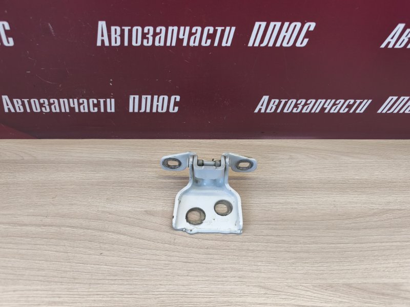 Петля двери - фото 1