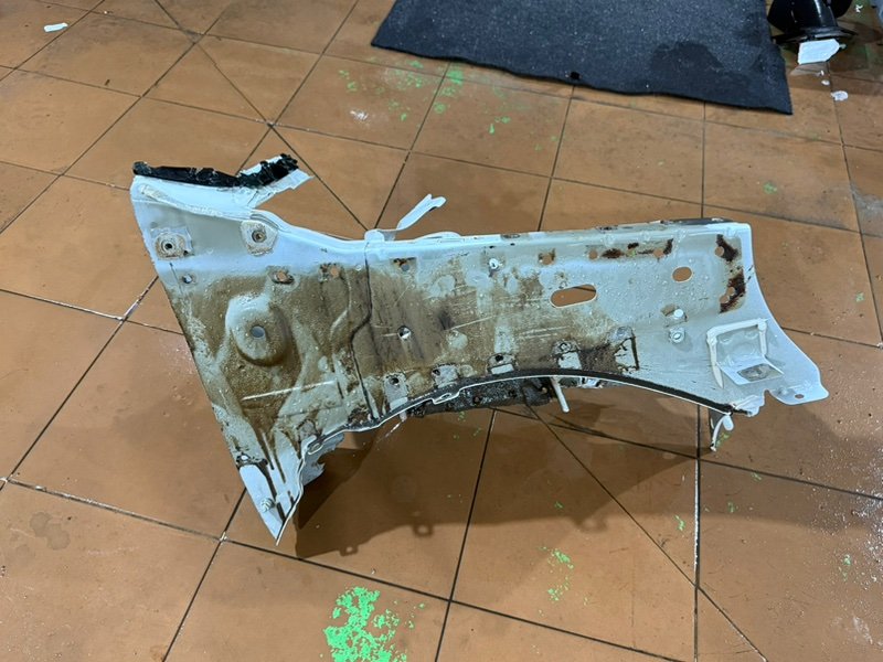 Полка крыла - фото 1