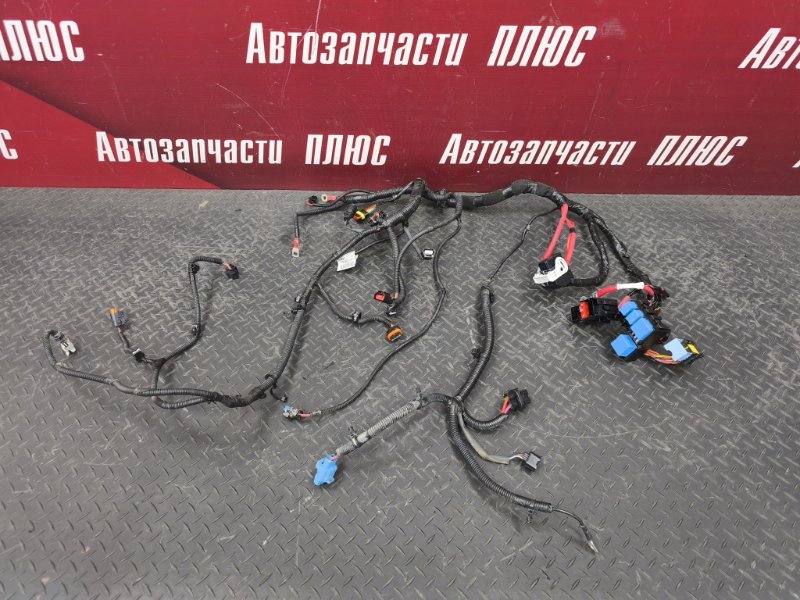 Проводка подкапотная - фото 1