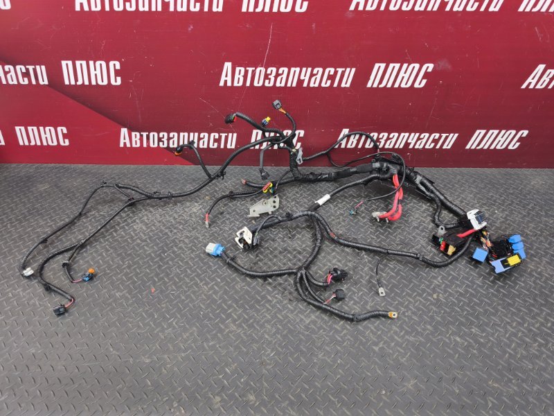 Проводка двигателя - фото 1