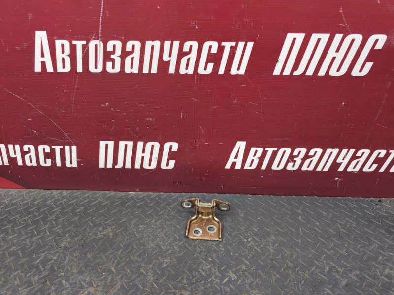 Петля     двери - фото 1