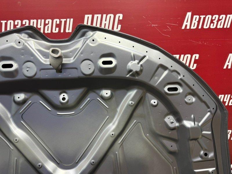 Капот - фото 10